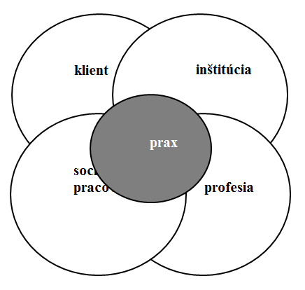 Model štyroch elementov praxe podľa Spano a Koenig 